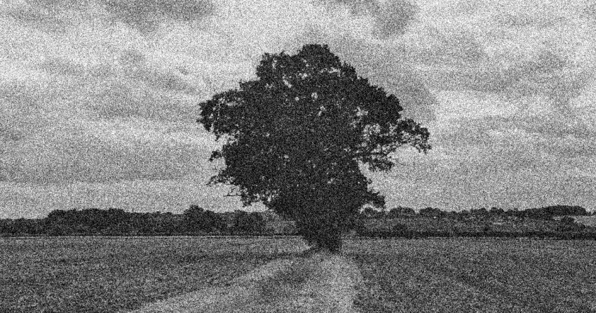 Blood for the furrows