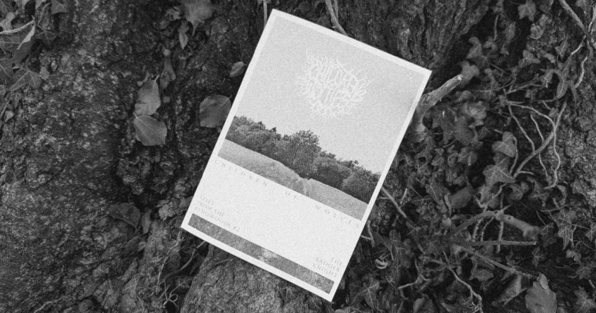 Cover for Tales From The Ryngwoode issue number 2 laid against a tree